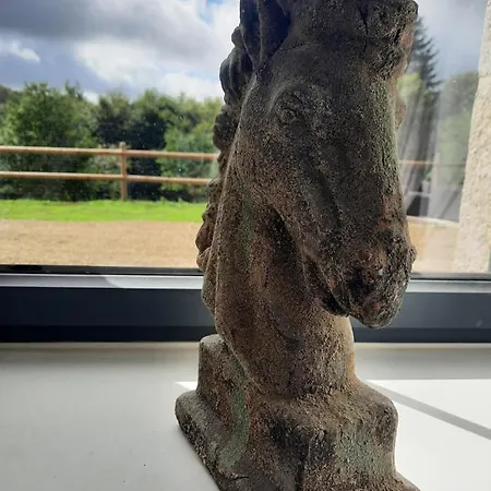 Madelaine Ranch, Nouvelle Piscine 2025 Feriehus