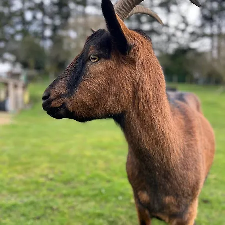 Madelaine Ranch, Nouvelle Piscine 2025 *