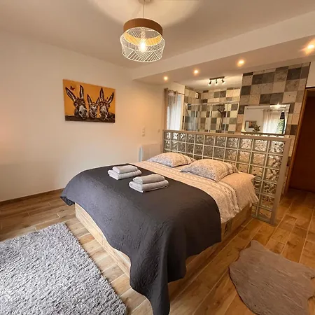 Madelaine Ranch, Nouvelle Piscine 2025