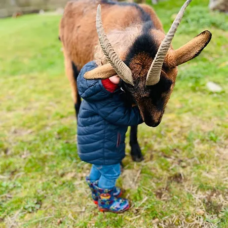 Feriehus Madelaine Ranch, Nouvelle Piscine 2025