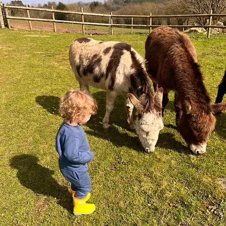 בית נופש Madelaine Ranch, Nouvelle Piscine 2025