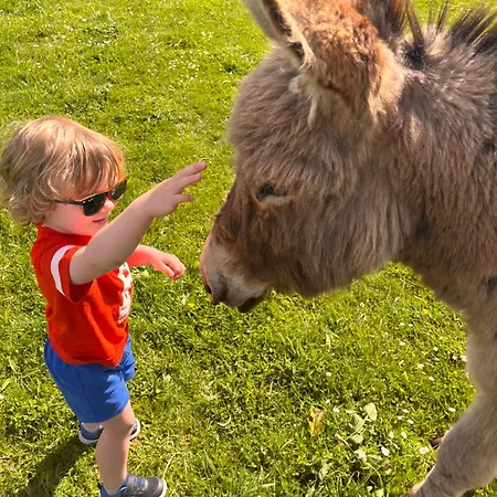 Madelaine Ranch, Nouvelle Piscine 2025 Le Gast