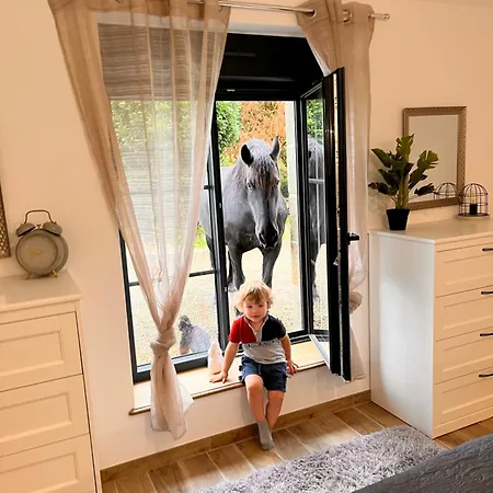 Madelaine Ranch, Nouvelle Piscine 2025 Holiday home