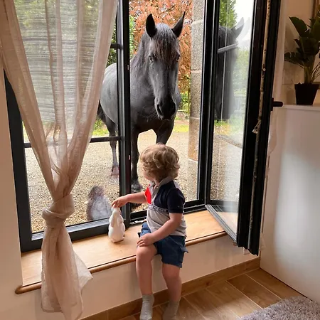 Madelaine Ranch, Nouvelle Piscine 2025 Feriehus *