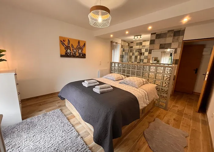 Madelaine Ranch, Nouvelle Piscine 2025