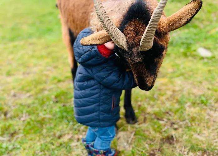 Tatil Evi Madelaine Ranch, Nouvelle Piscine 2025