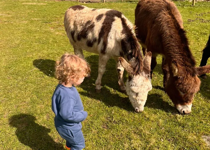 Tatil Evi Madelaine Ranch, Nouvelle Piscine 2025