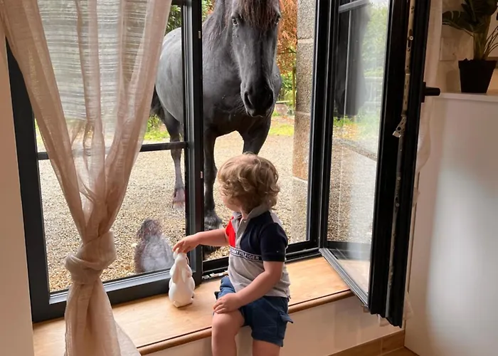 Madelaine Ranch, Nouvelle Piscine 2025 Tatil Evi *